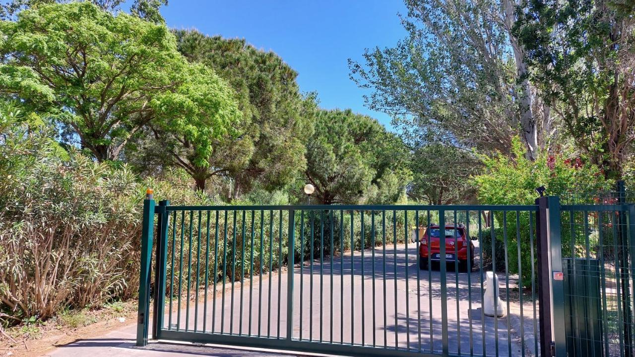 Aux Abords Du Lac Apartment Arles Ngoại thất bức ảnh