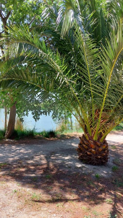 Aux Abords Du Lac Apartment Arles Ngoại thất bức ảnh